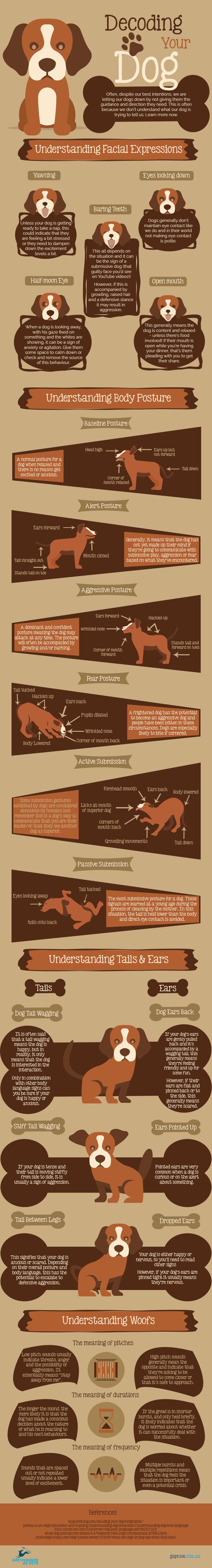 Decoding your dog infographic