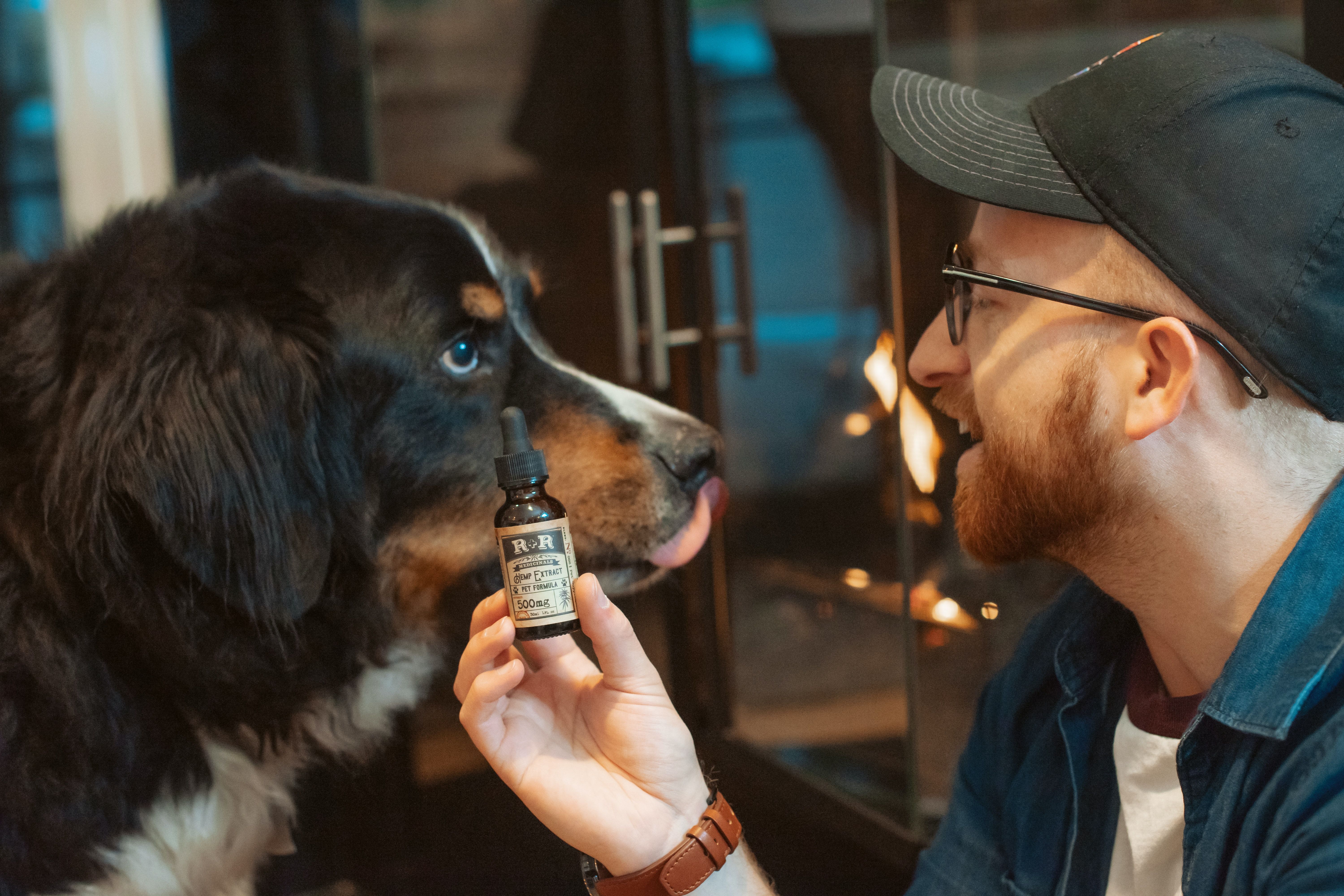 A man with a large dog and CBD