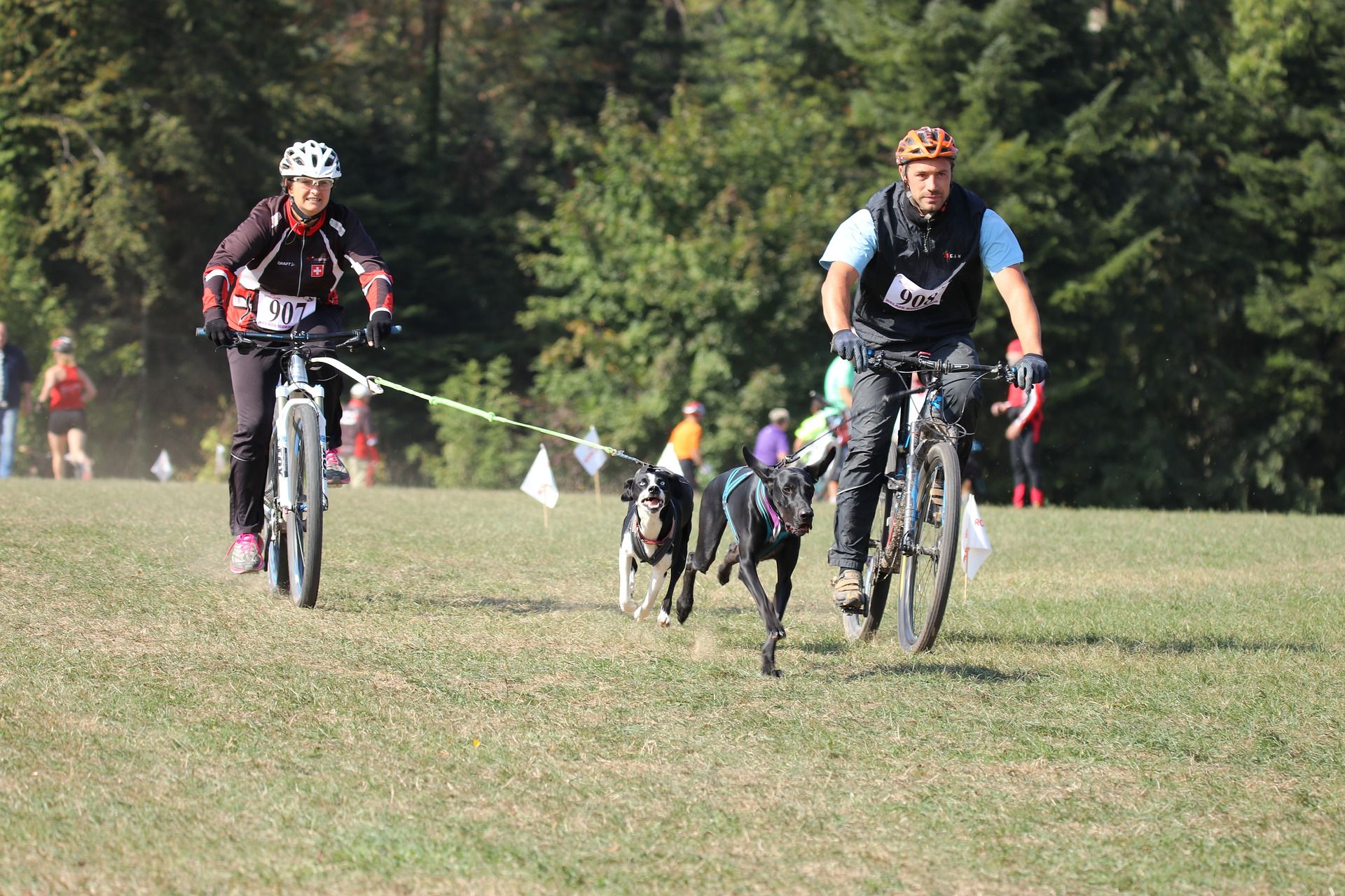 Bikejoring