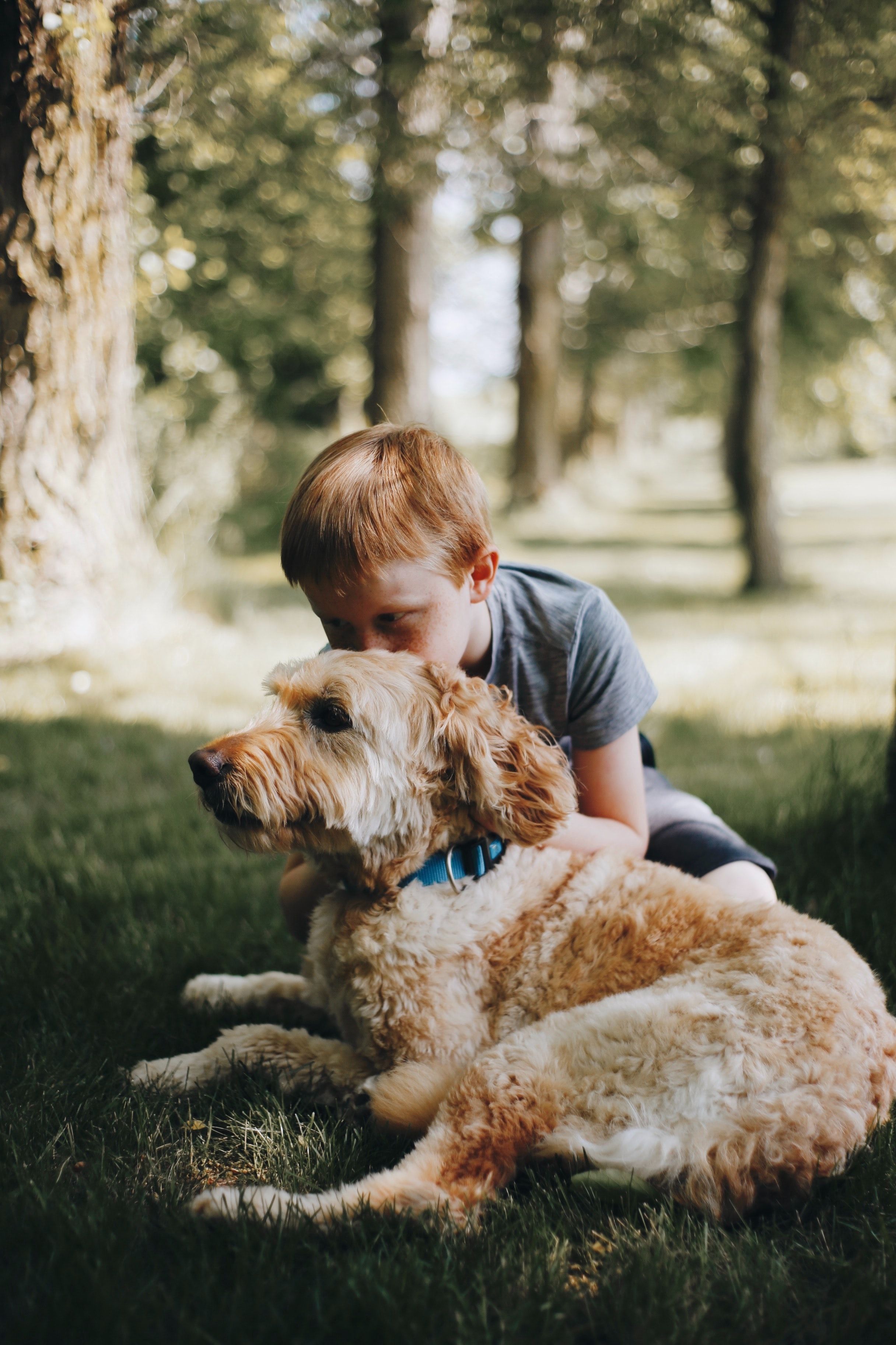 FitBark_boy_dog_doodle_outside.jpeg