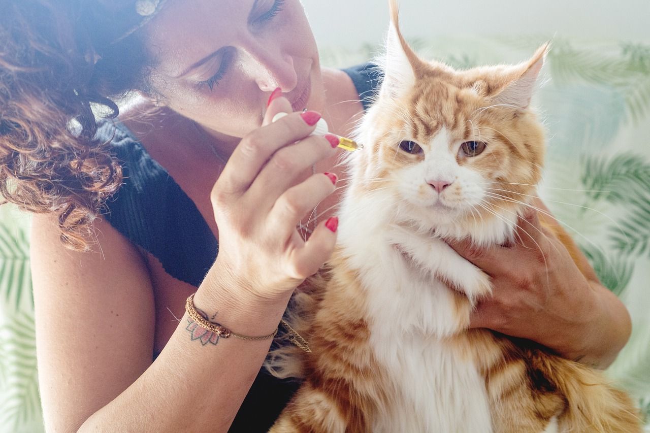 A woman giving a cat CBD