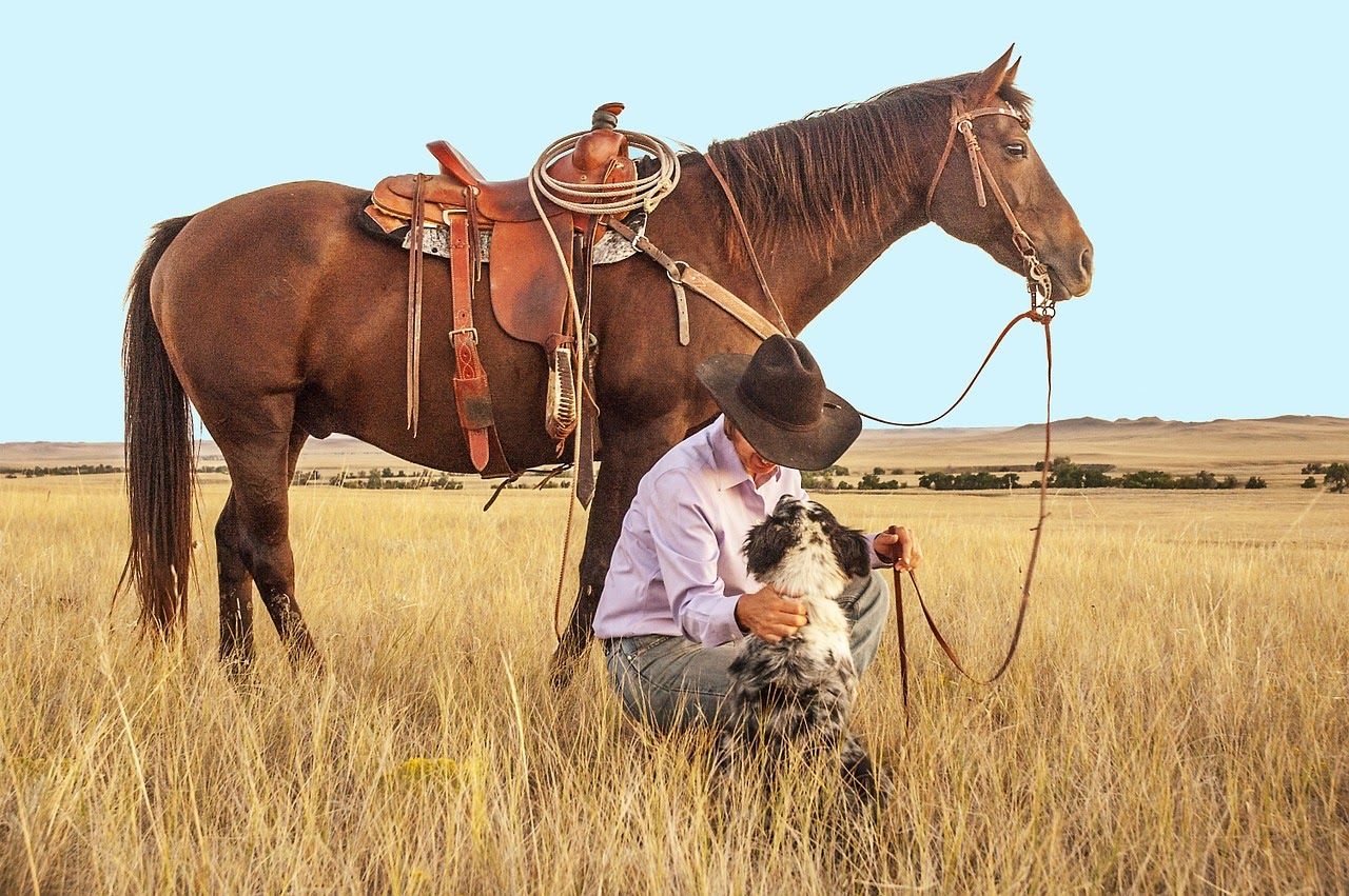 A cowboy with a horse and a dog