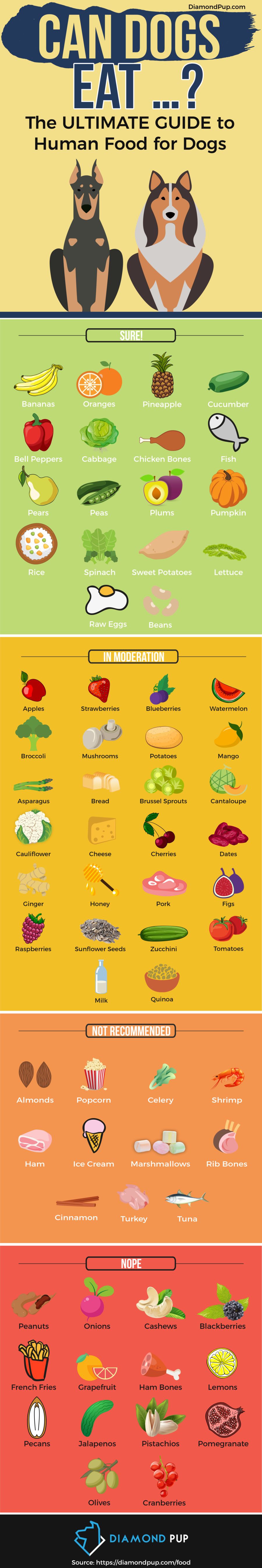 Human food infographic