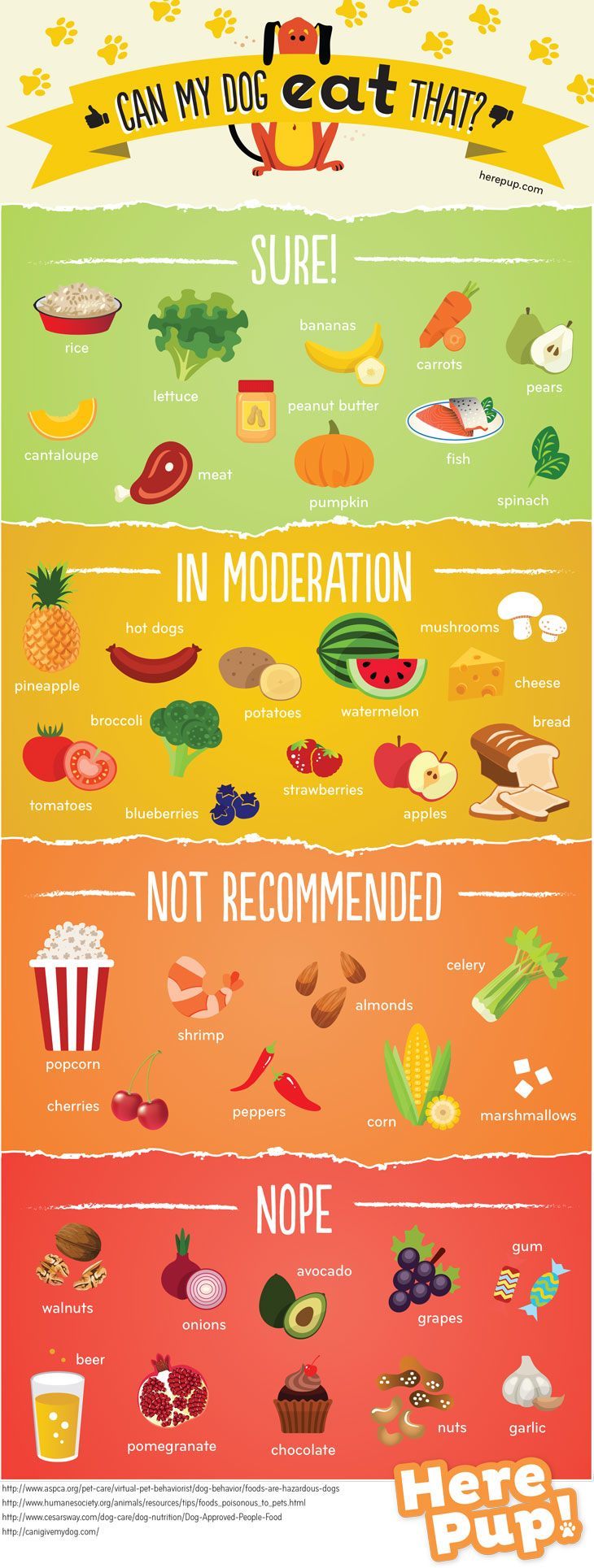 Nutrition infographic