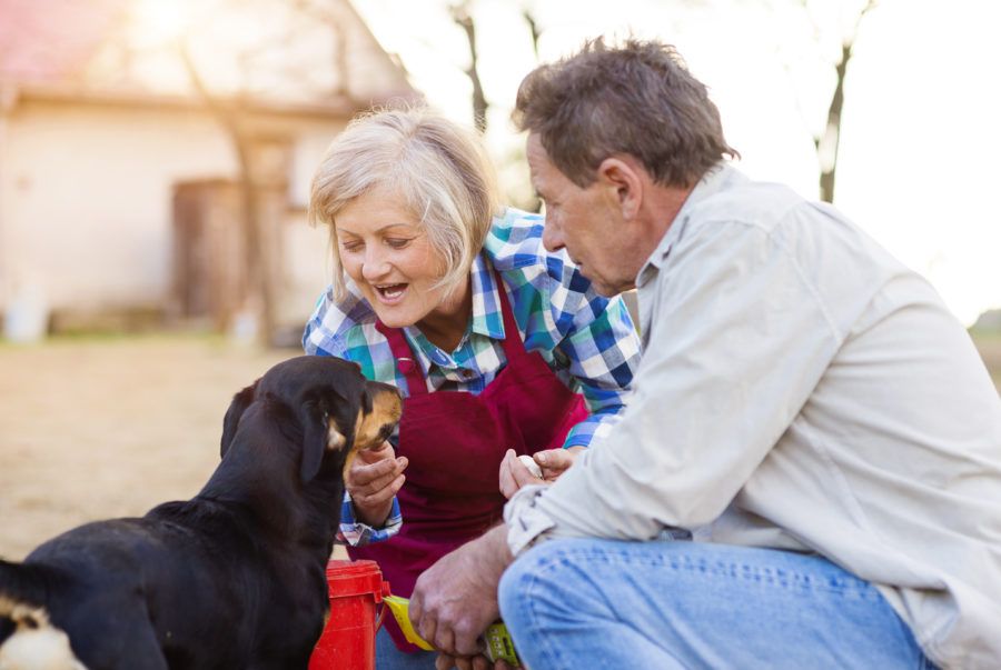 Two people with a dog