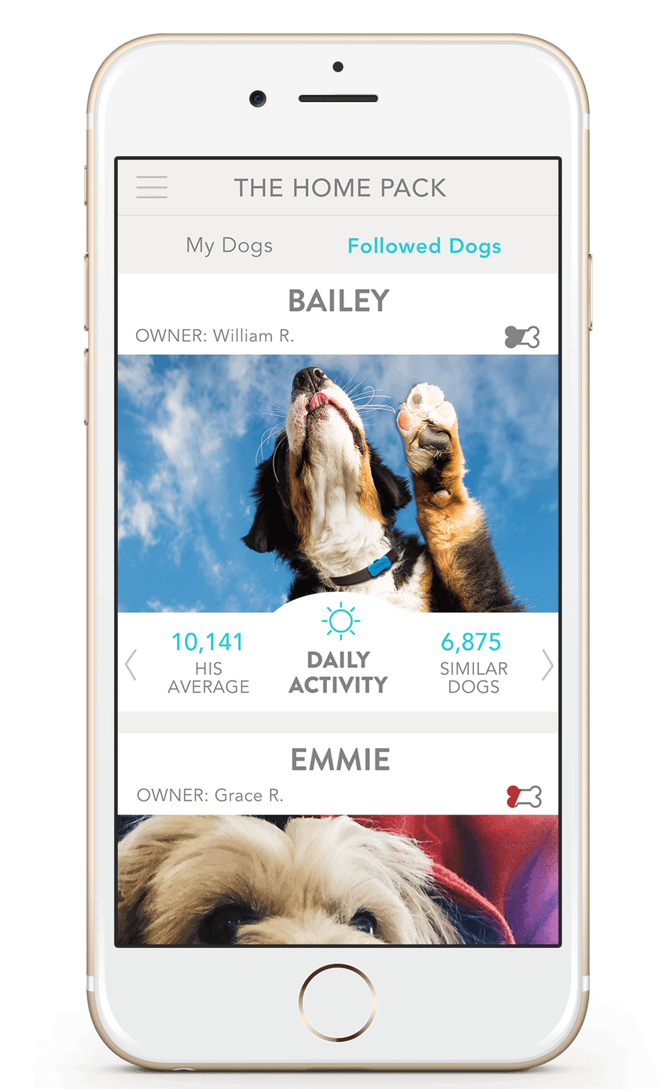 Introducing TopDog Board and Similar Dogs Insights FitBark