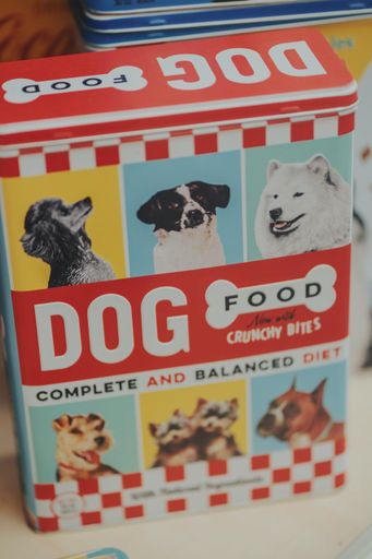 Image showcasing What Is Anxiety Dog Food? Does It Really Work? | FitBark